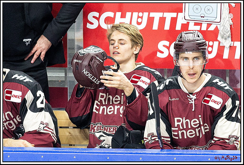 PENNY DEL;  Koelner Haie - Krefeld Pinguine; Koeln, 28.02.2021